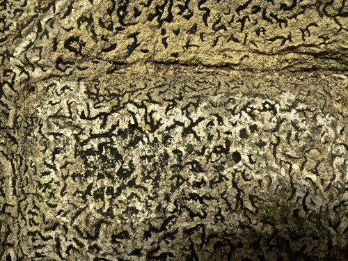 P1160377