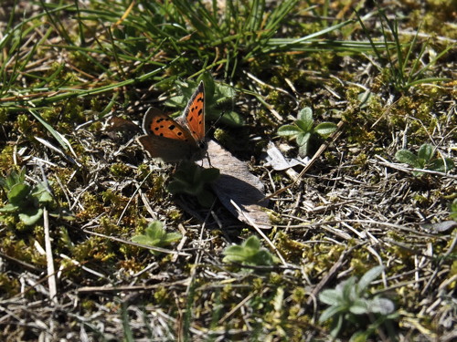 P4180380