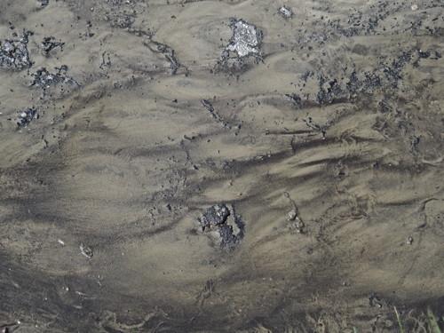 P5261008