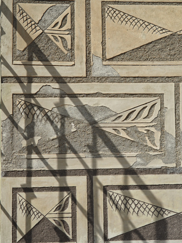 P5040404
