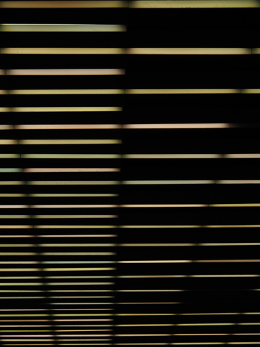 P5050611