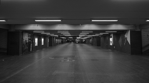 P6091634