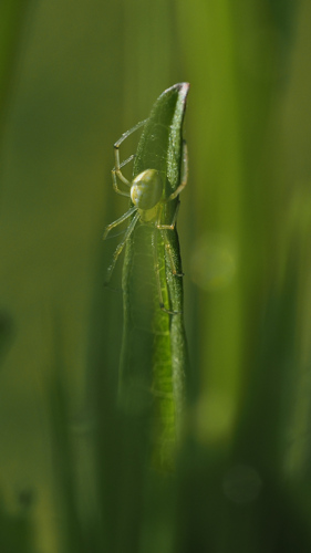 P6232177
