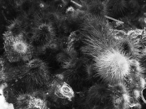 P6232223