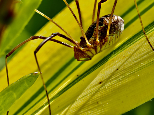 P6283496