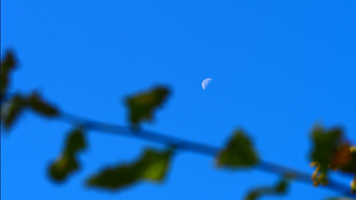 P7284155