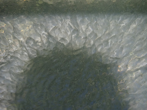 P8244323