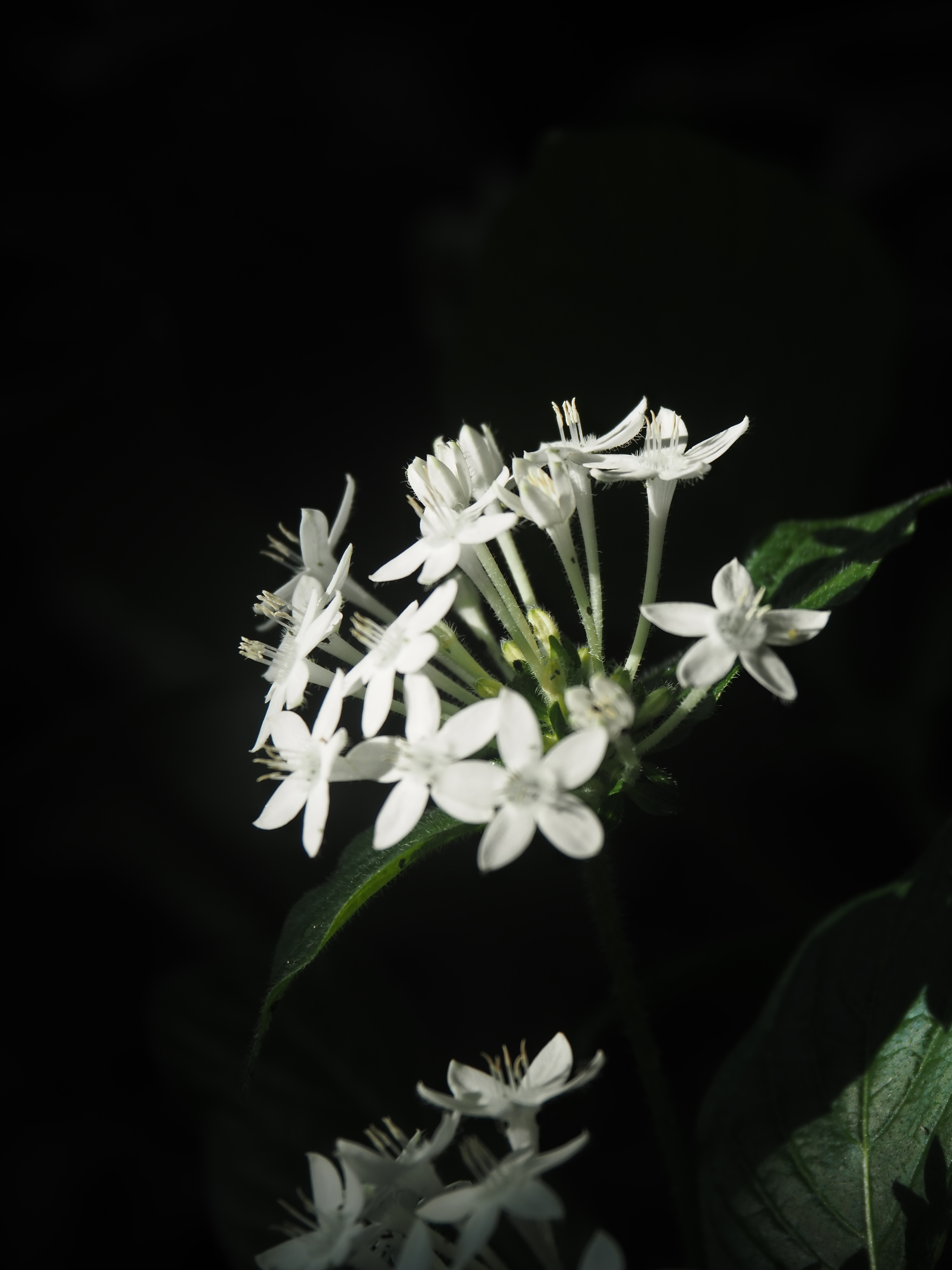 P3020242