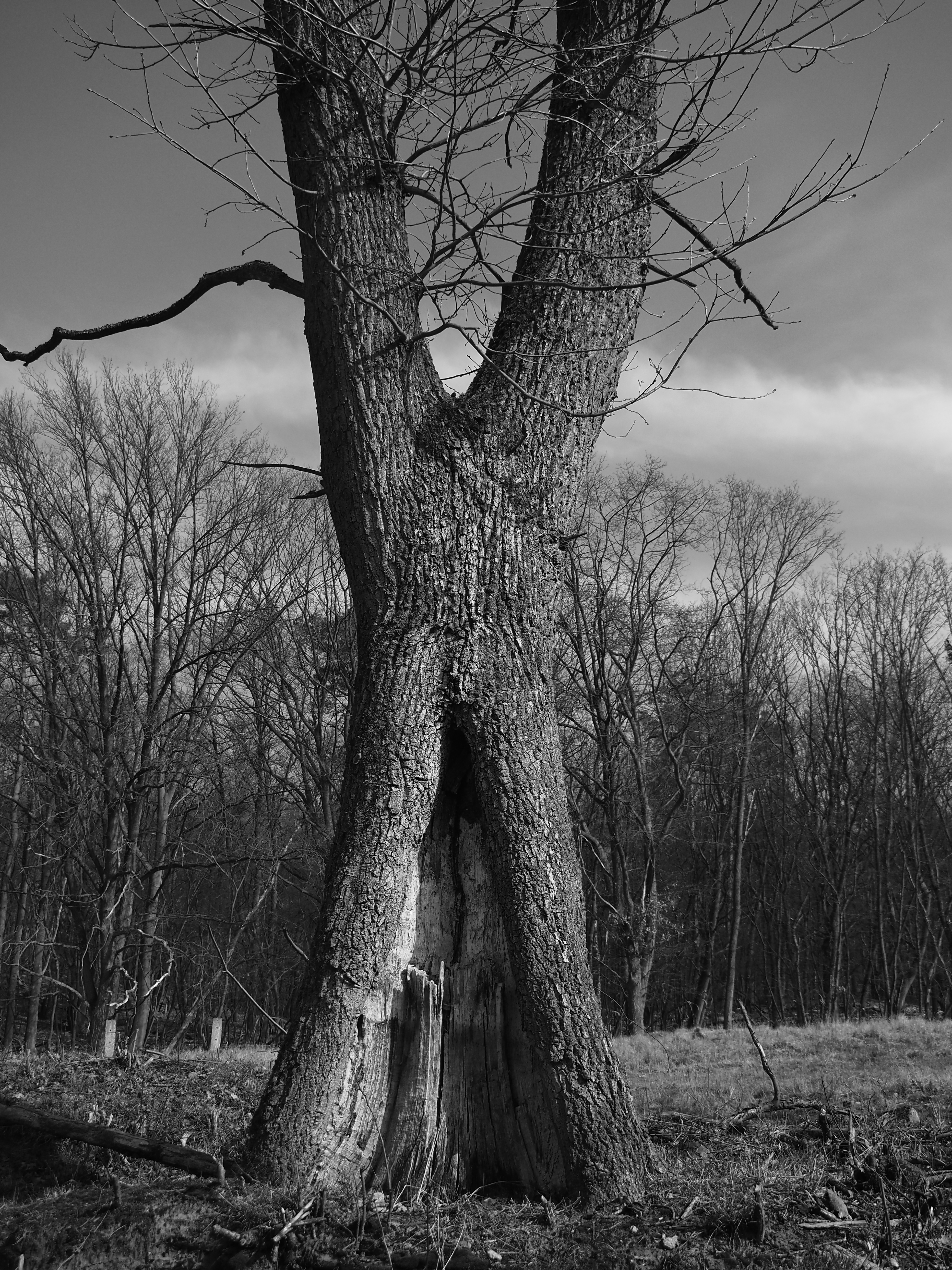 P3230692