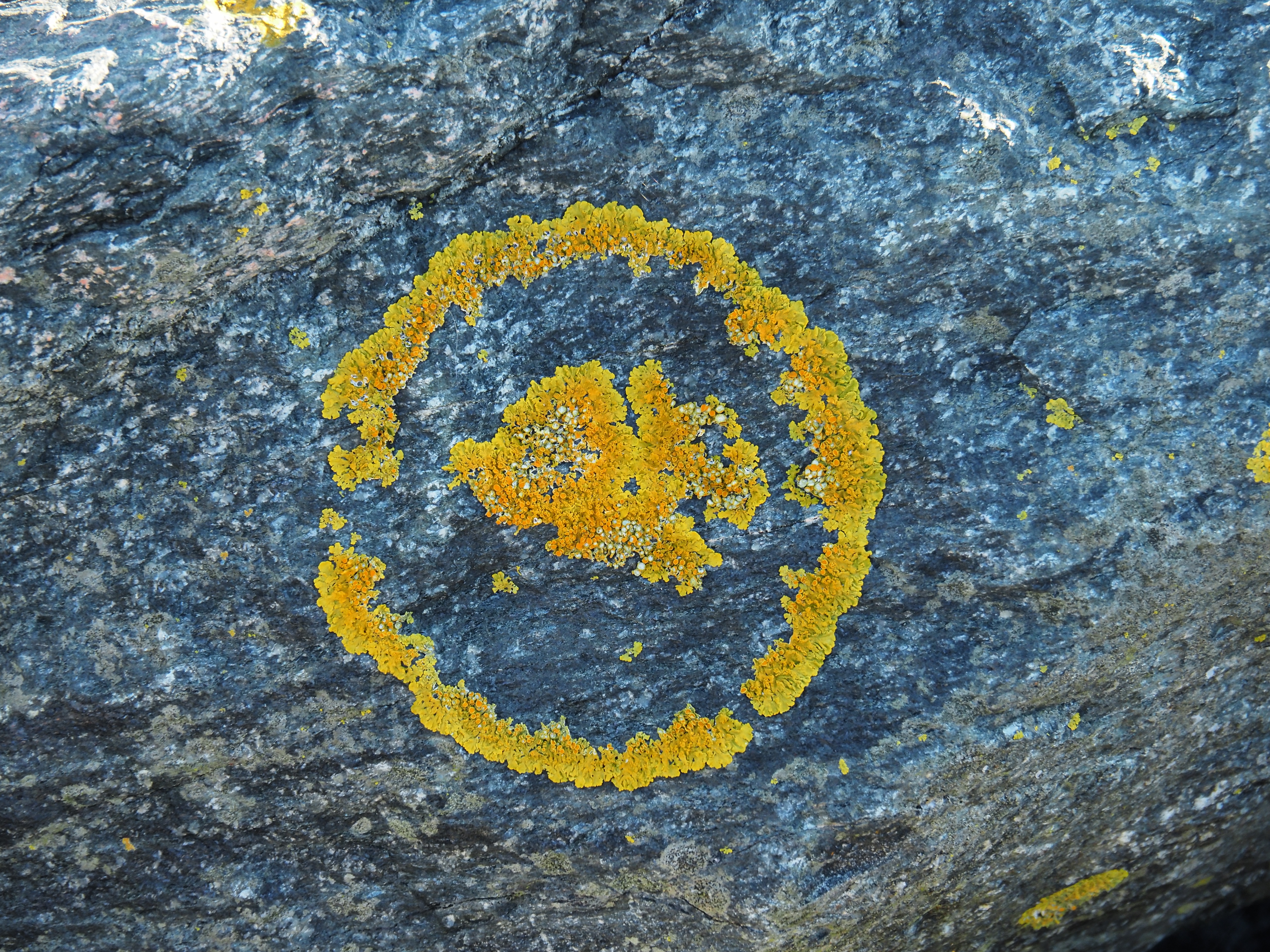 PA012648