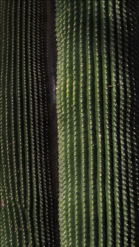 P3020071