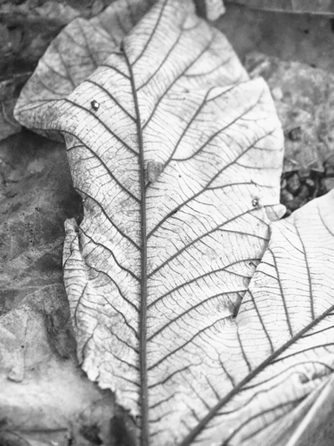 P3020231