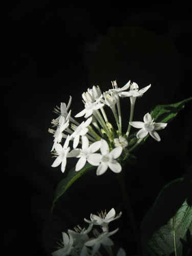 P3020242