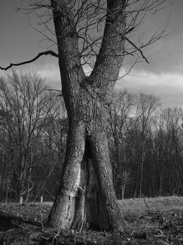P3230692