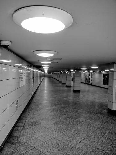 P8100363
