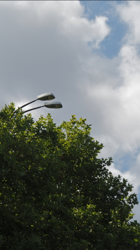 P8100388