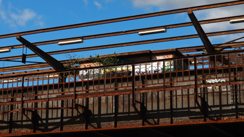 P8170991