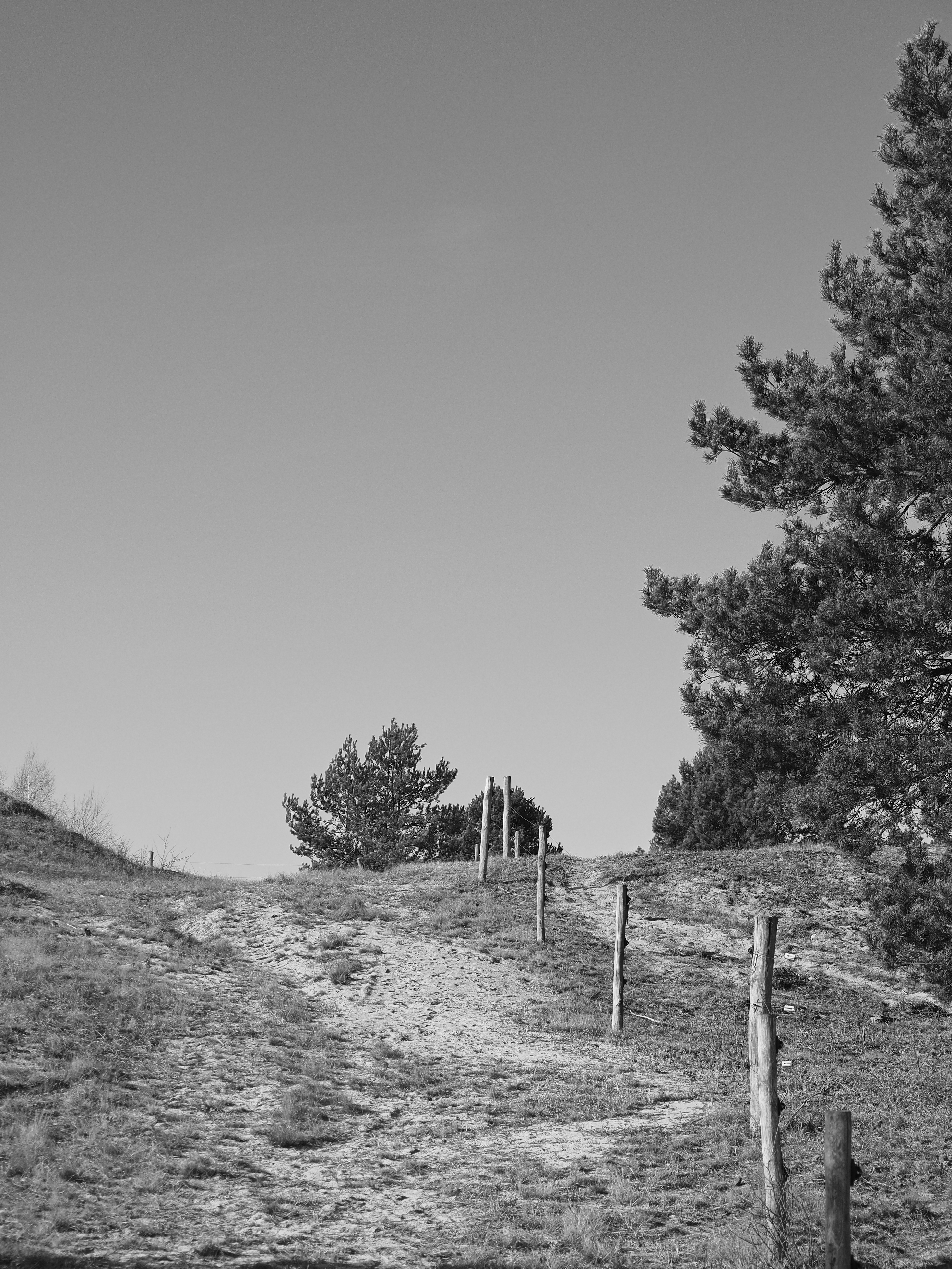 P3010259