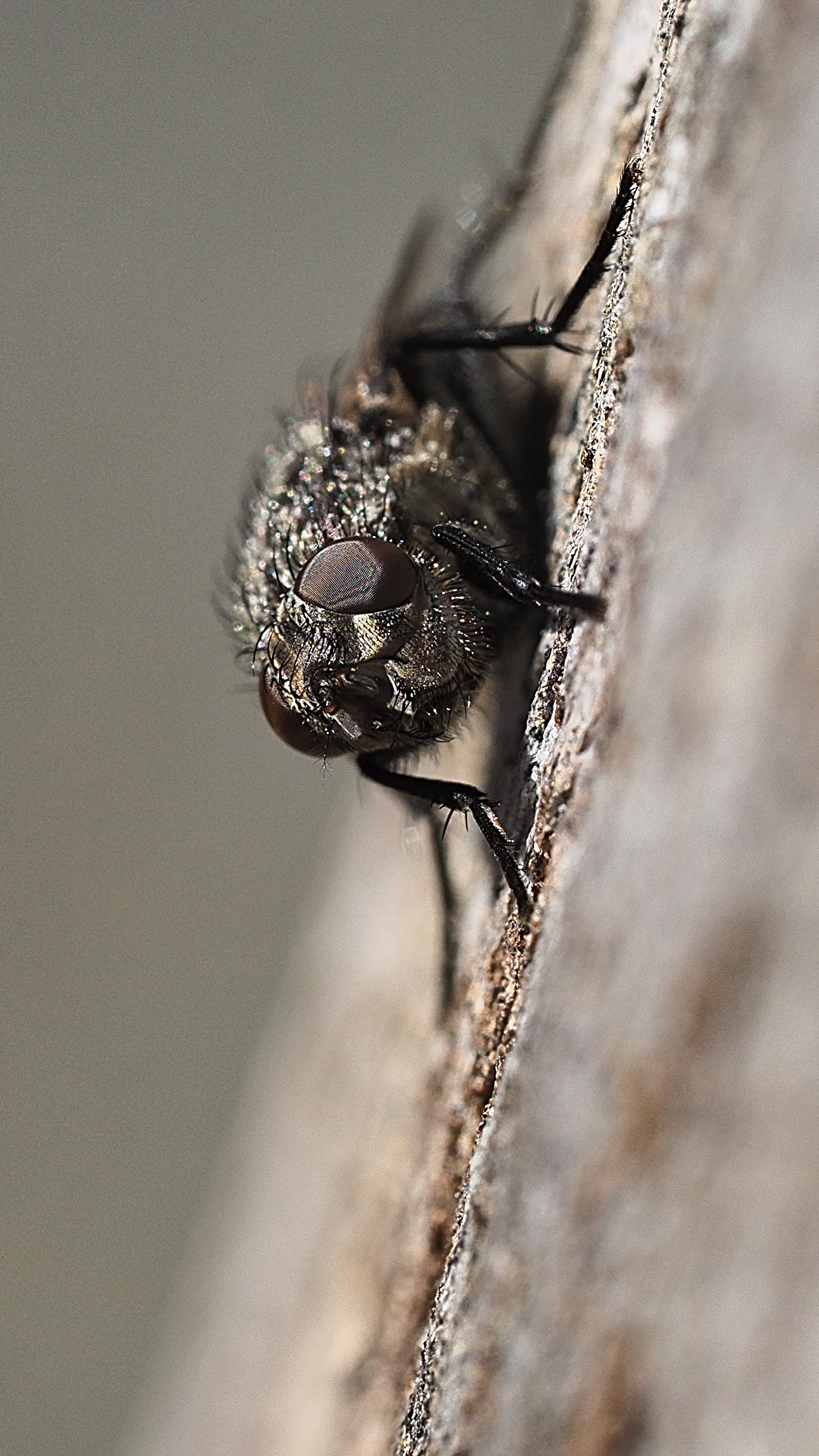 P3010505