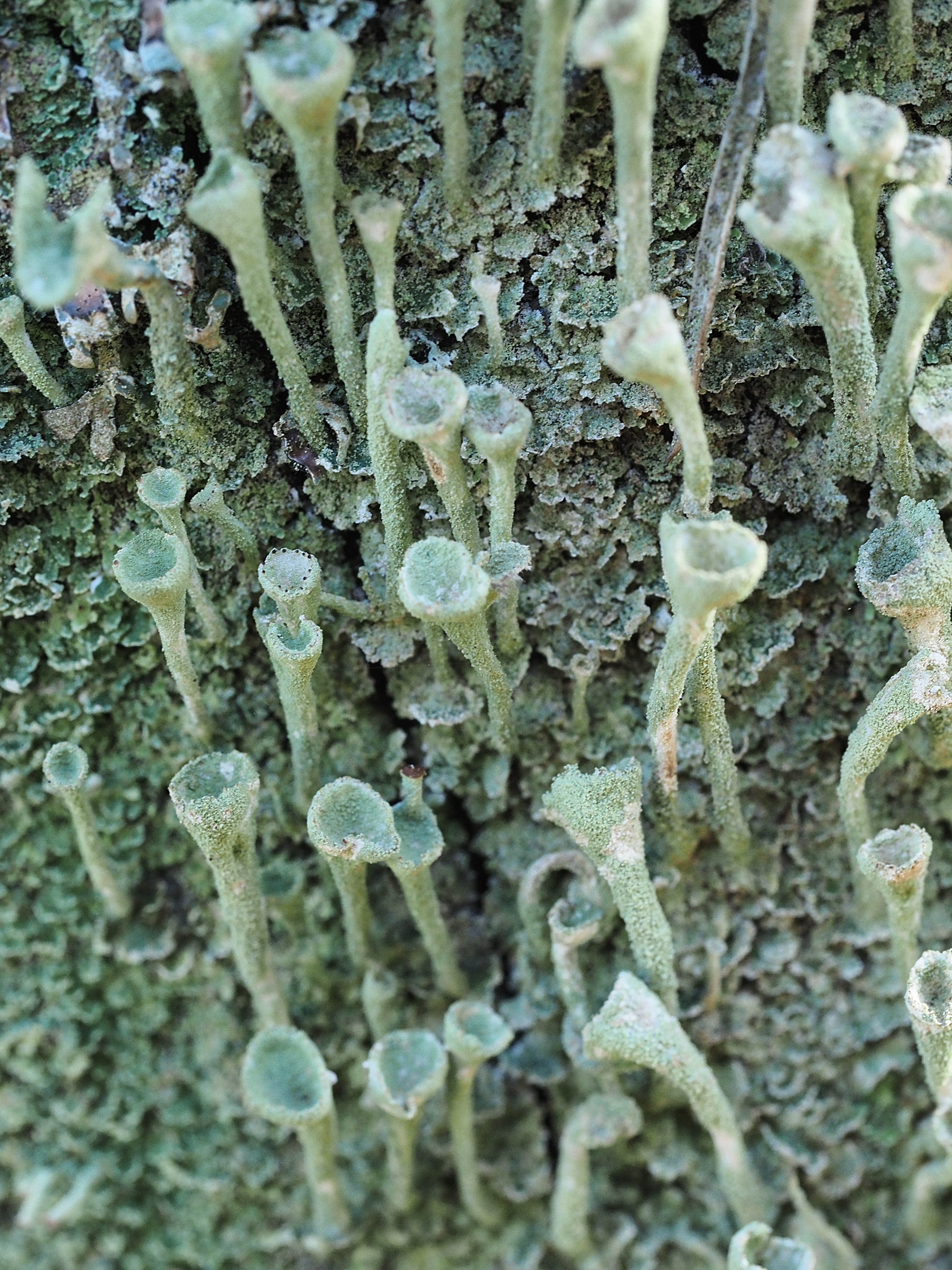 P3010531