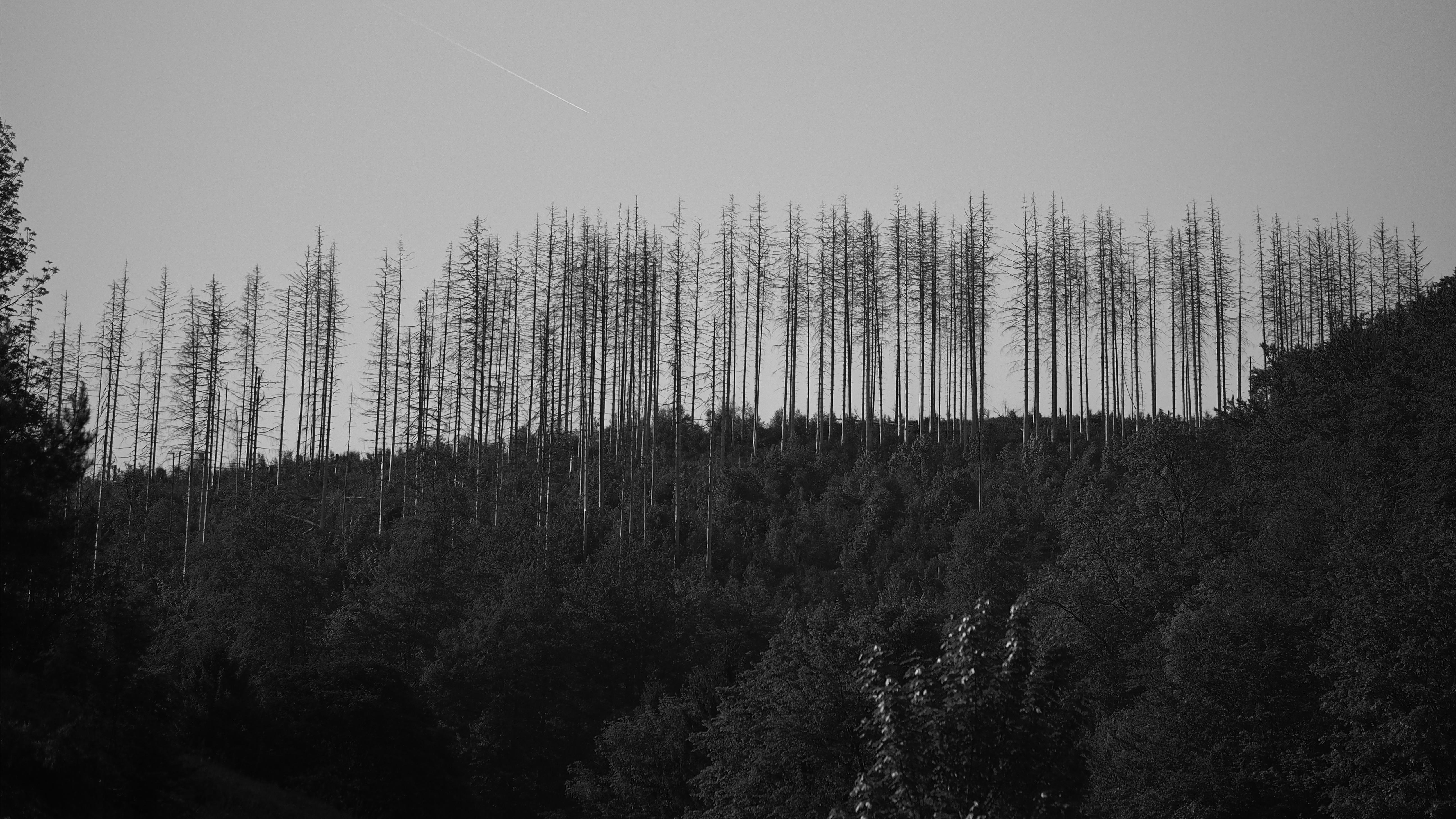 P5236036