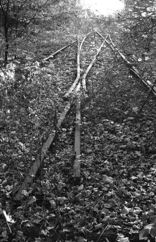 Bw_original_12